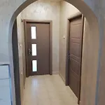 Ani
