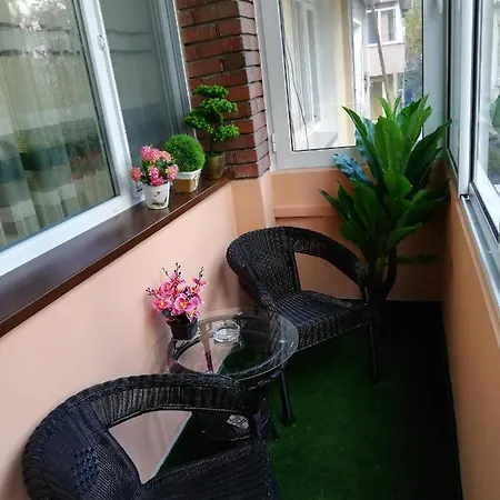 Ani Veliko Tarnovo