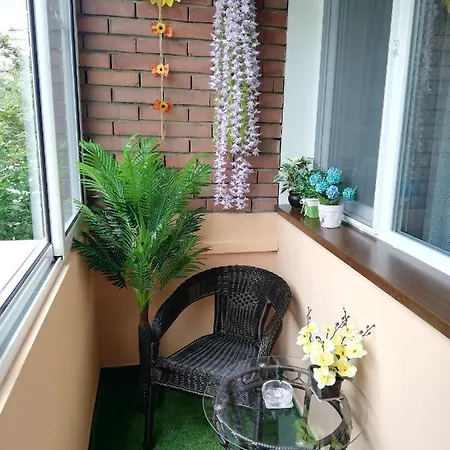 Ani Apartament *